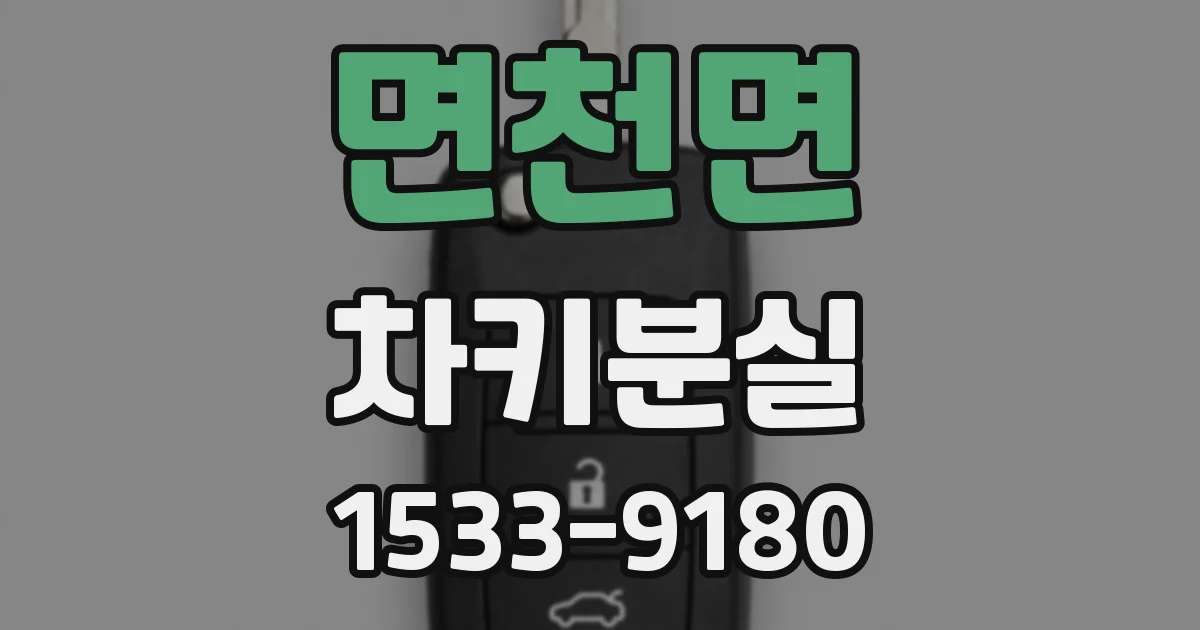 면천면 차키분실