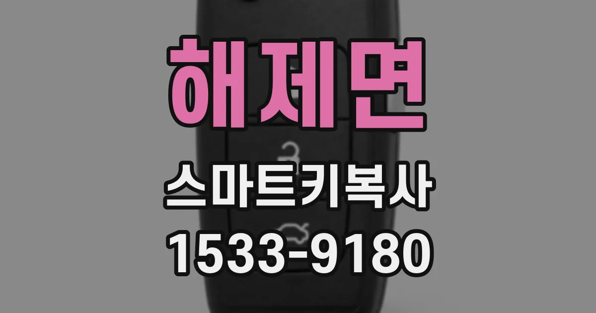 해제면 스마트키복사