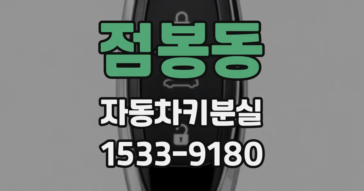 점봉동 자동차키분실