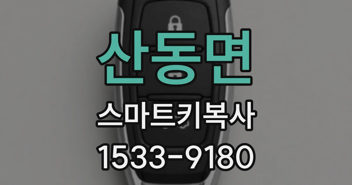 산동면 스마트키복사
