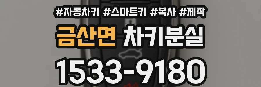 금산면 차키분실