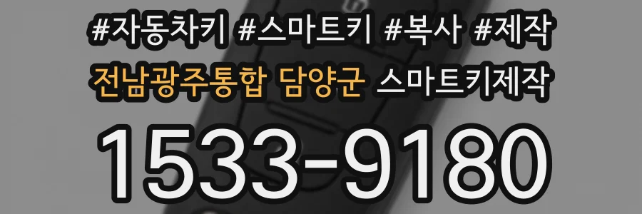 전남광주통합 담양군 스마트키제작