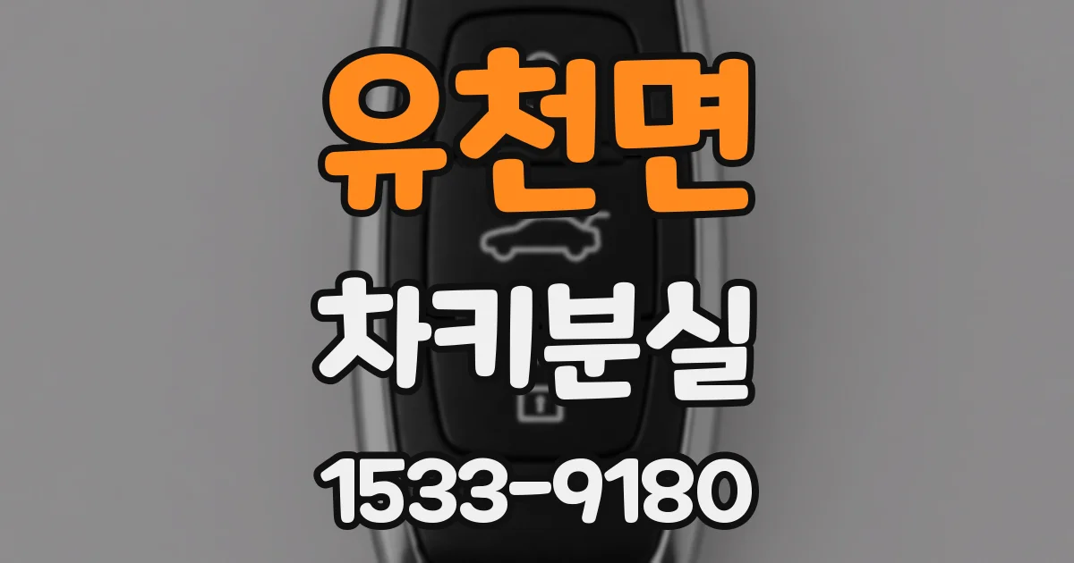 유천면 차키분실