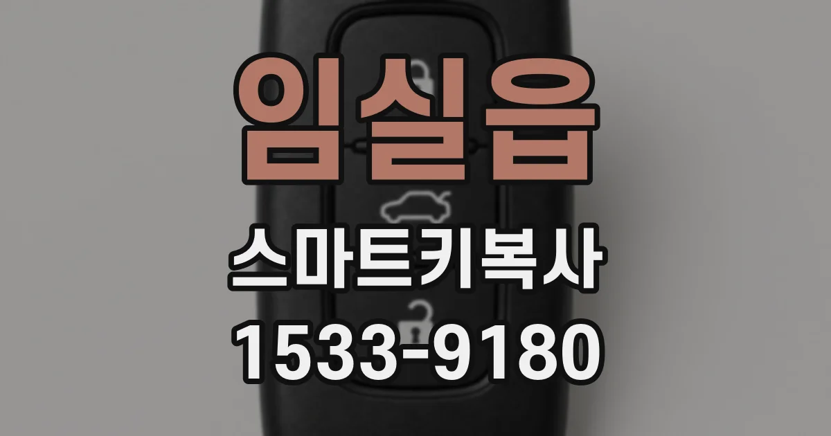 임실읍 스마트키복사