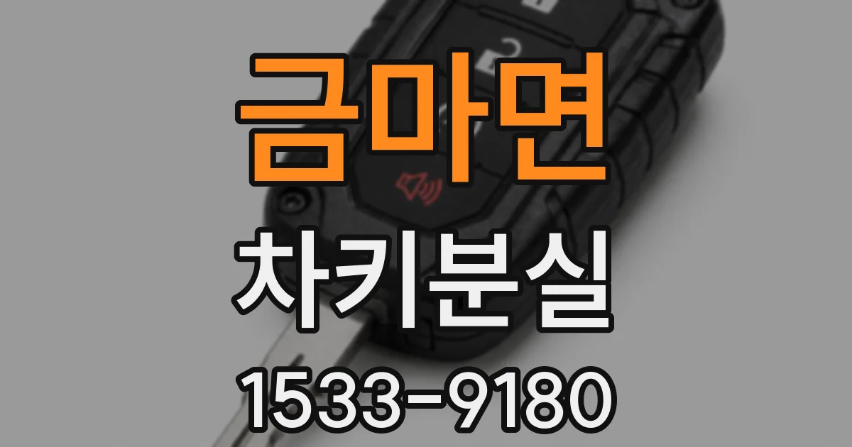 금마면 차키분실
