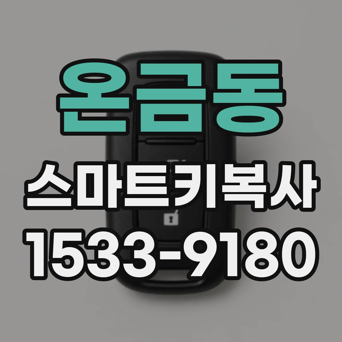온금동 스마트키복사