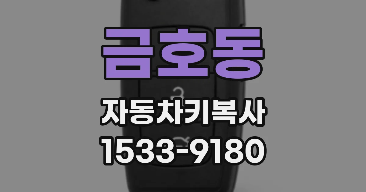금호동 자동차키복사