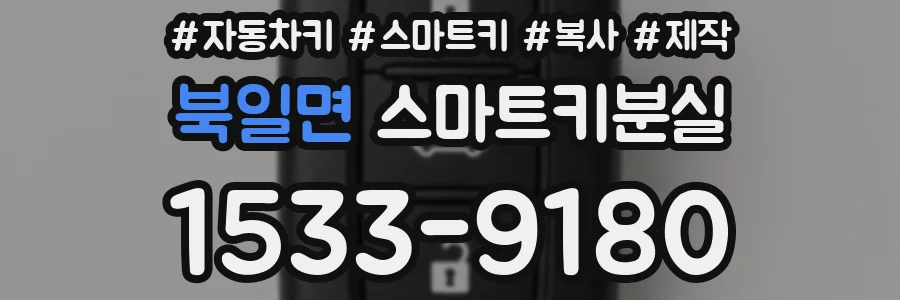 북일면 스마트키분실