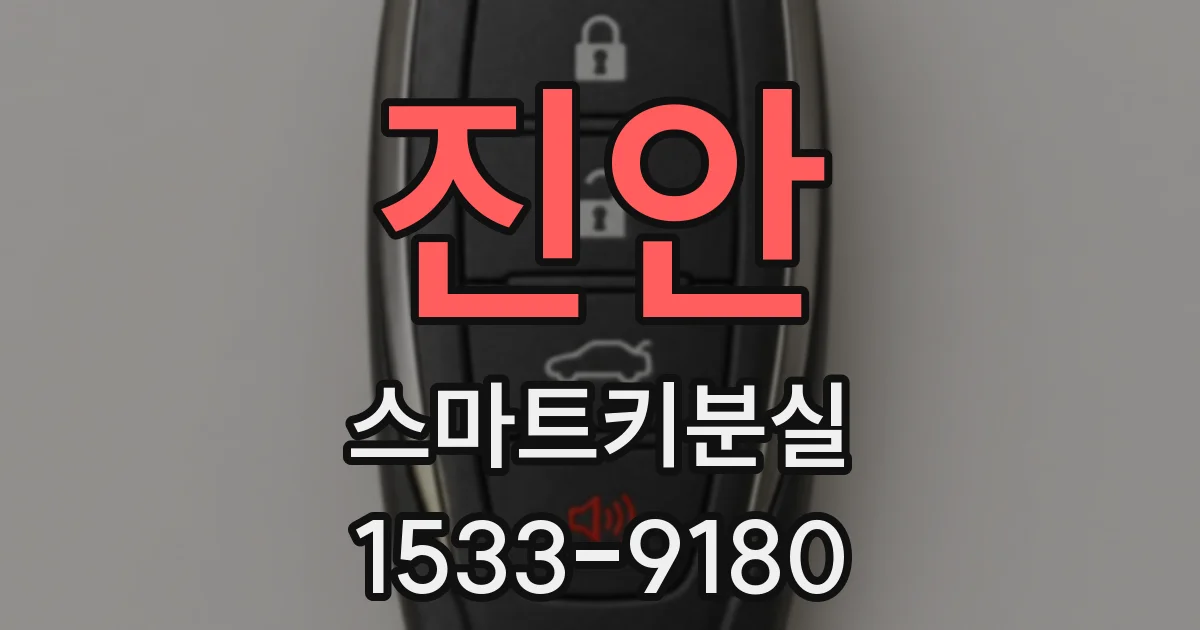 진안 스마트키분실