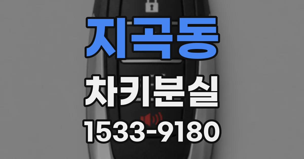 지곡동 차키분실