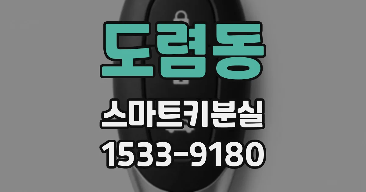 도렴동 스마트키분실
