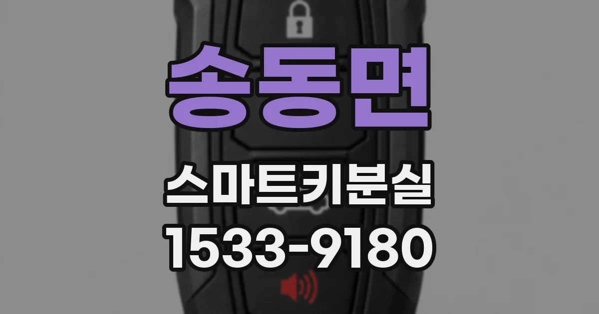 송동면 스마트키분실