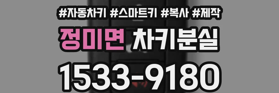 정미면 차키분실