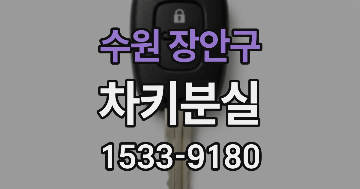 수원 장안구 차키분실
