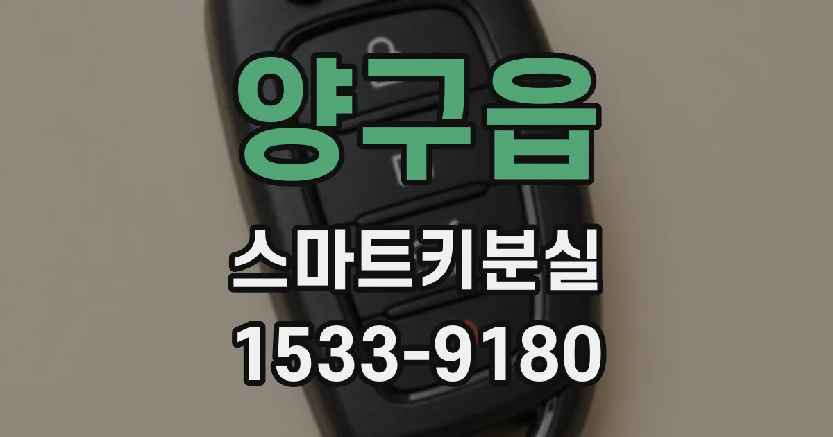 양구읍 스마트키분실