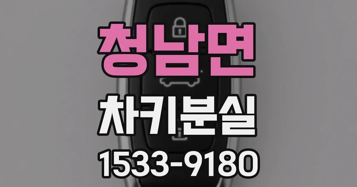 청남면 차키분실