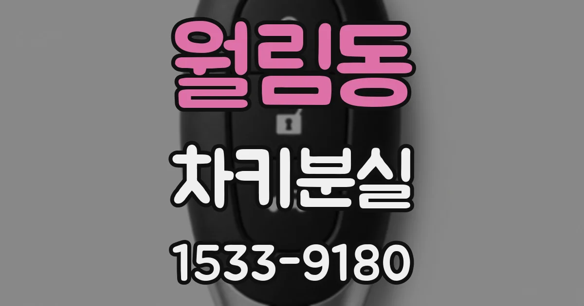 월림동 차키분실