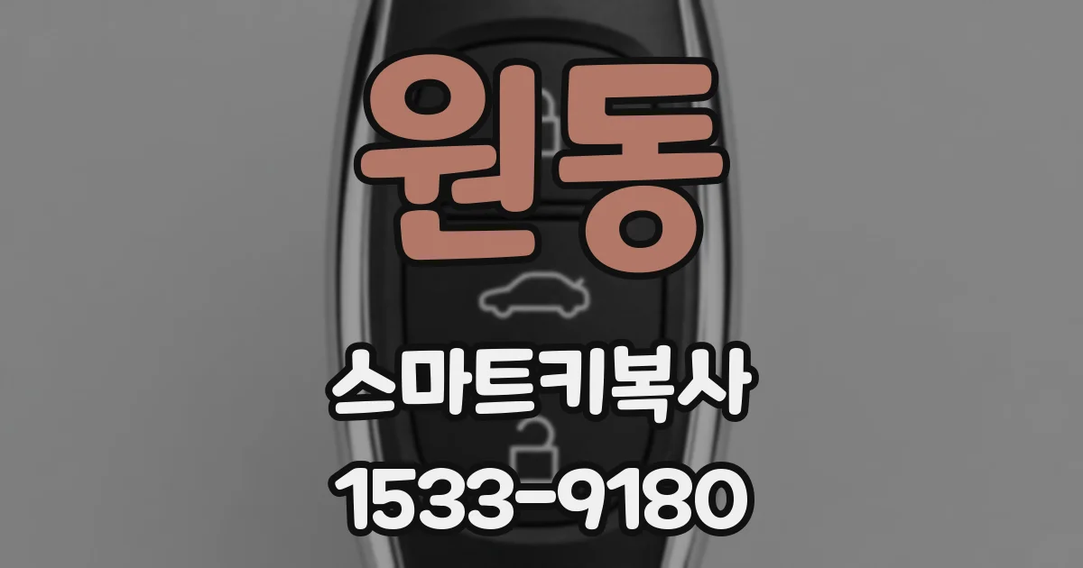 원동 스마트키복사