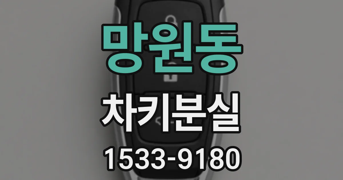 망원동 차키분실