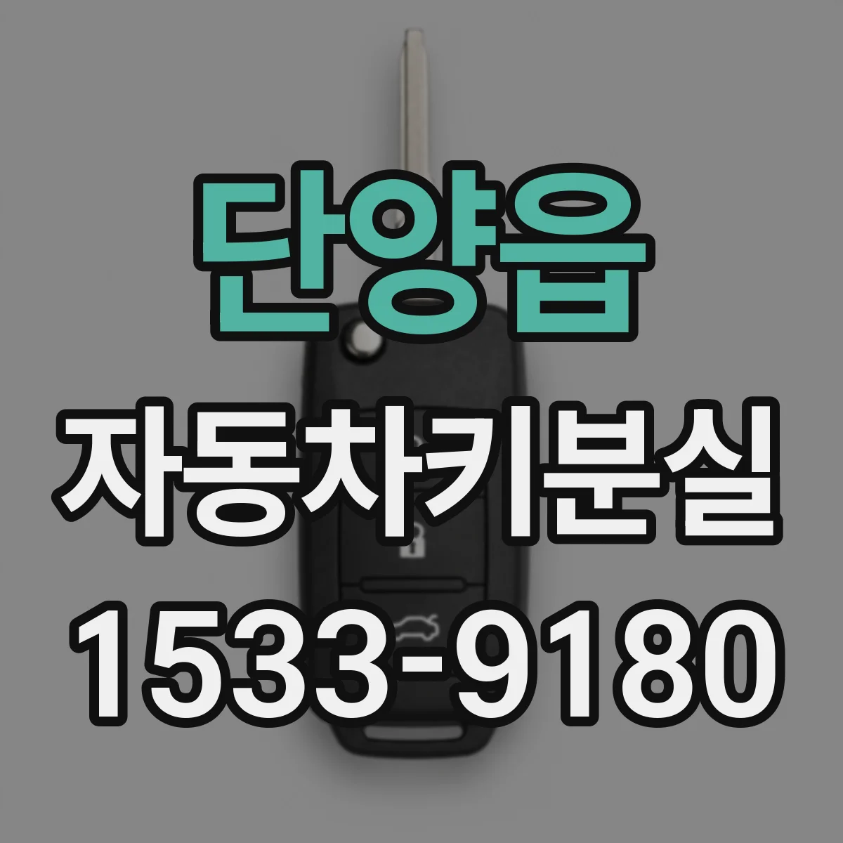 단양읍 자동차키분실