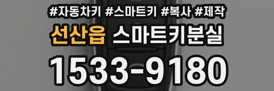 선산읍 스마트키분실