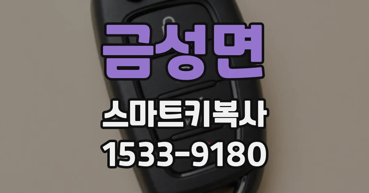 금성면 스마트키복사