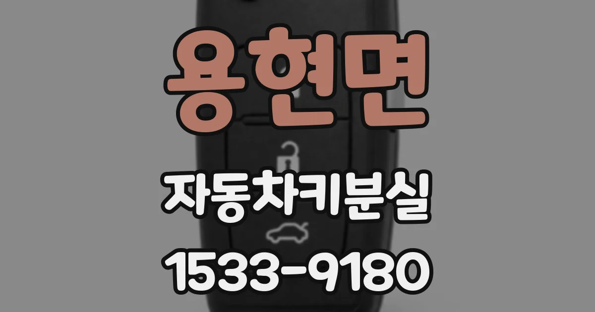 용현면 자동차키분실