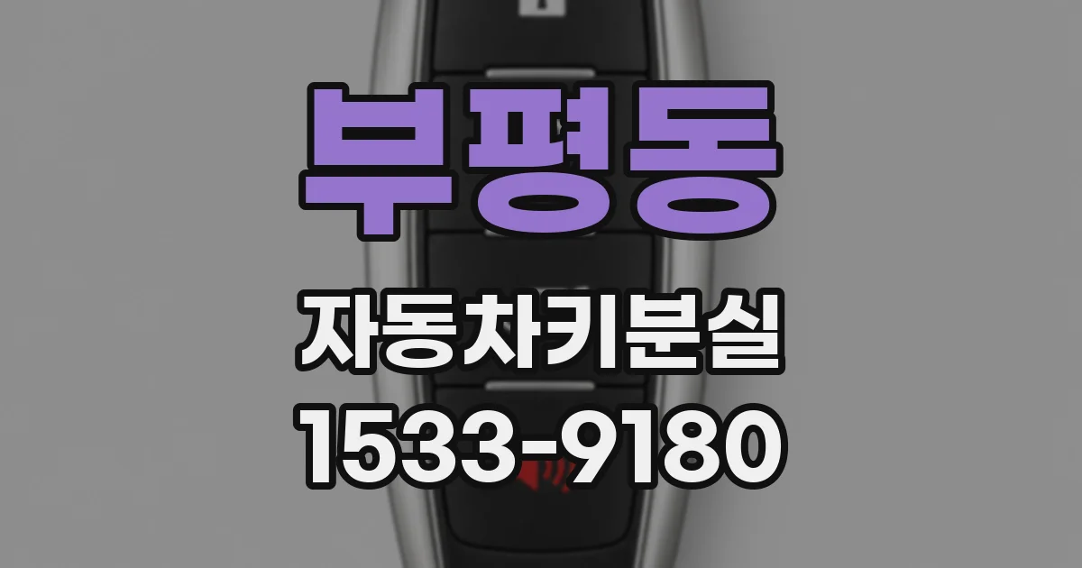 부평동 자동차키분실