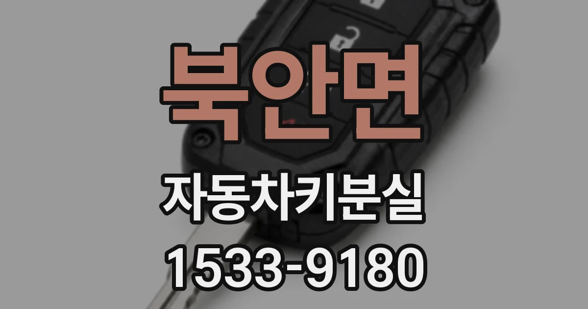 북안면 자동차키분실