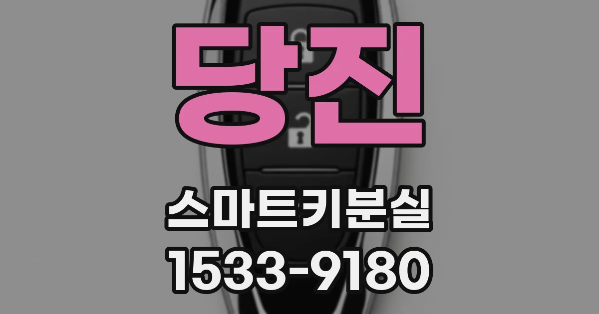 당진 스마트키분실