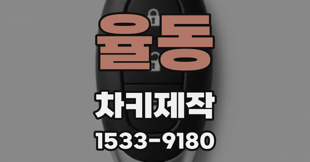 율동 차키제작
