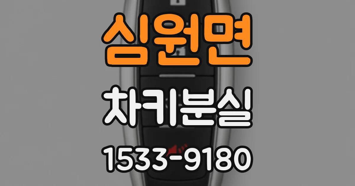심원면 차키분실