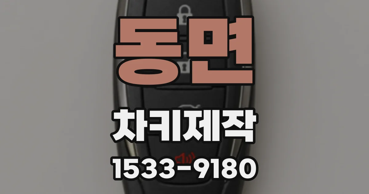 동면 차키제작