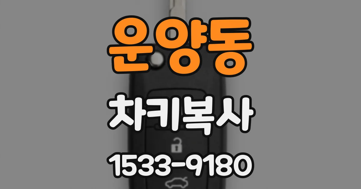 운양동 차키복사