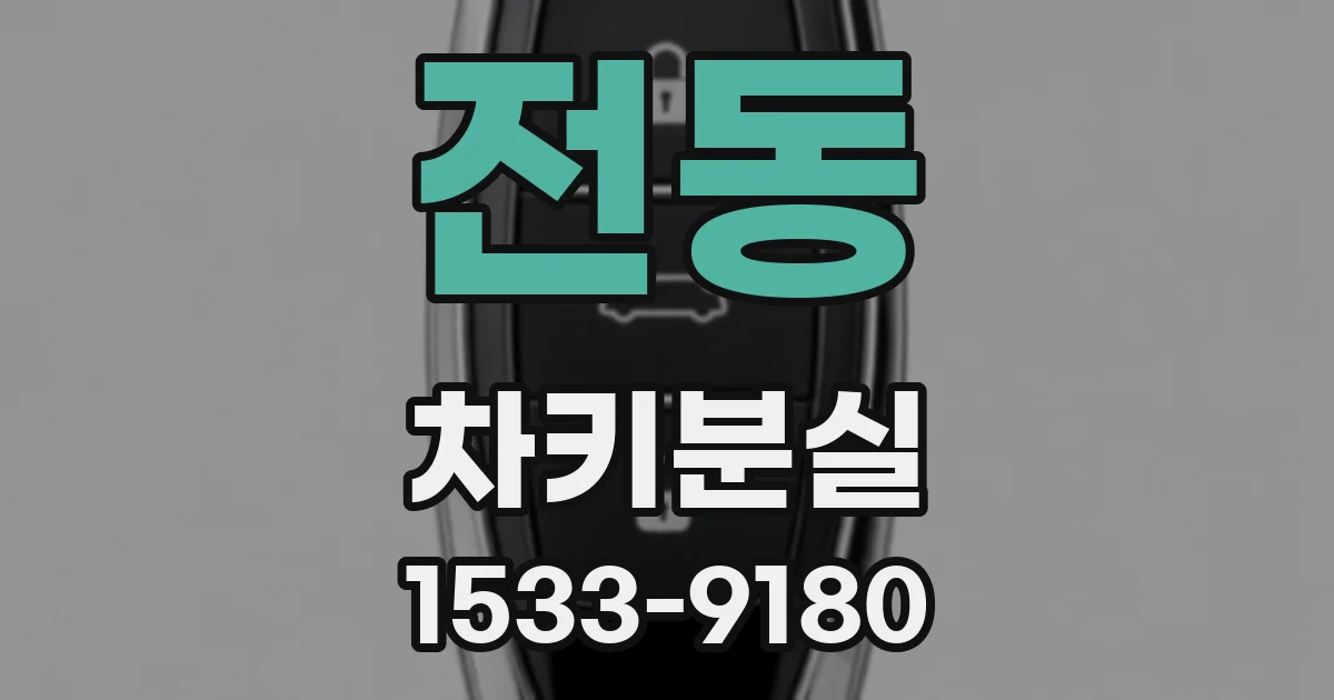 전동 차키분실