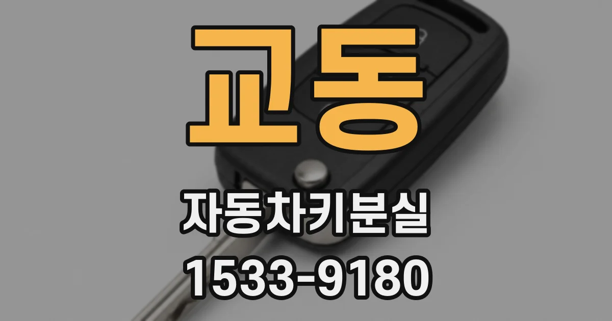 교동 자동차키분실