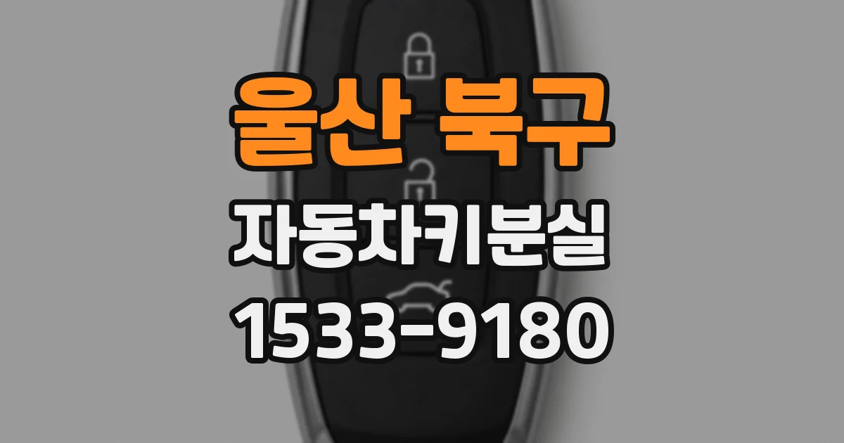 울산 북구 자동차키분실