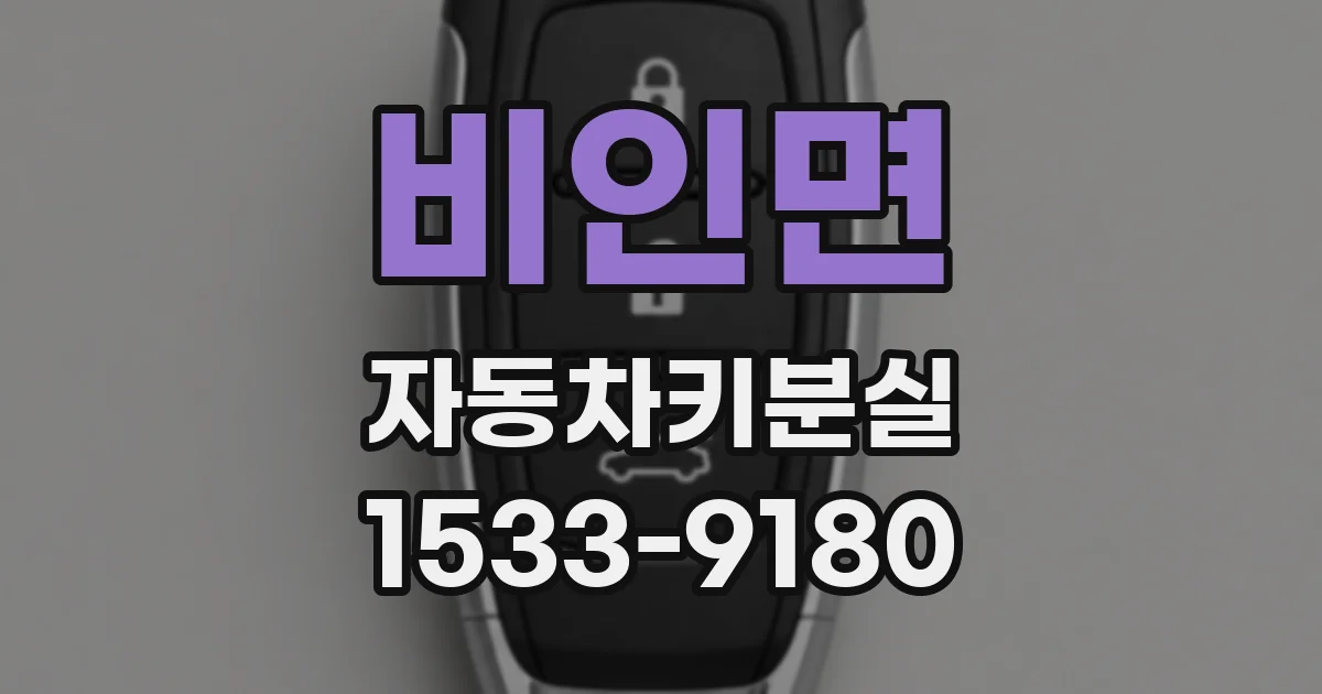 비인면 자동차키분실