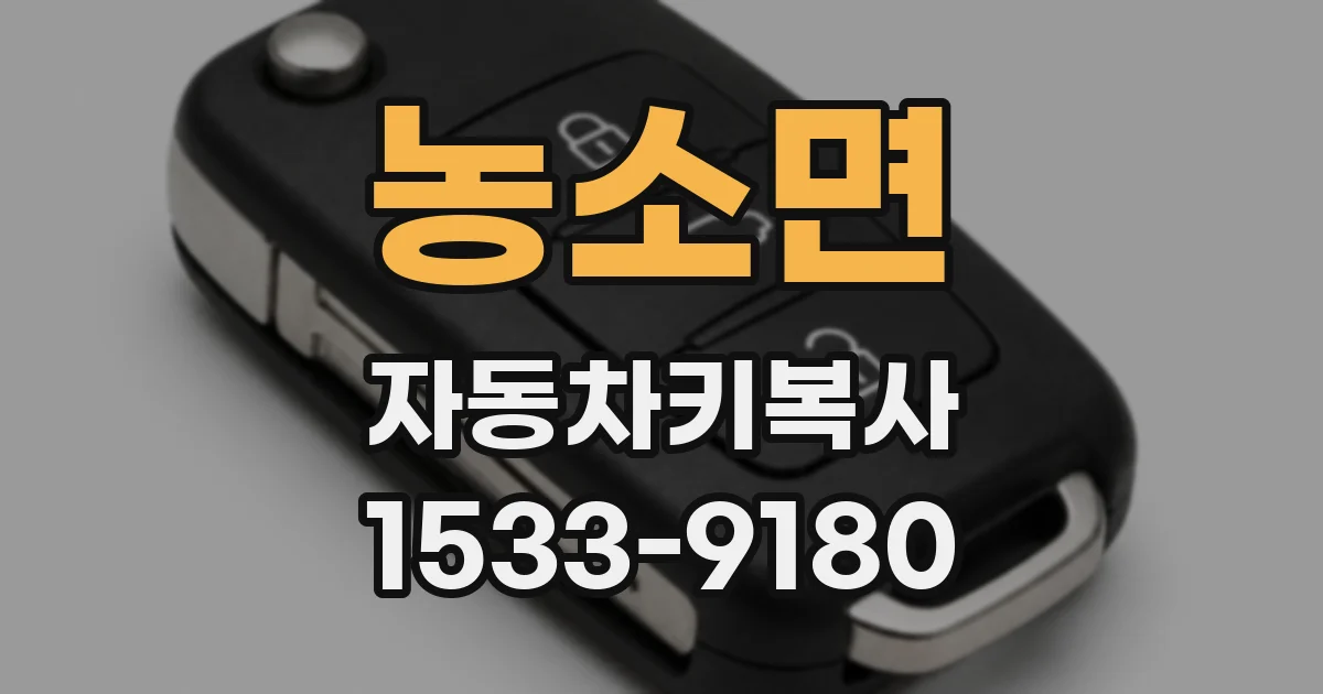 농소면 자동차키복사