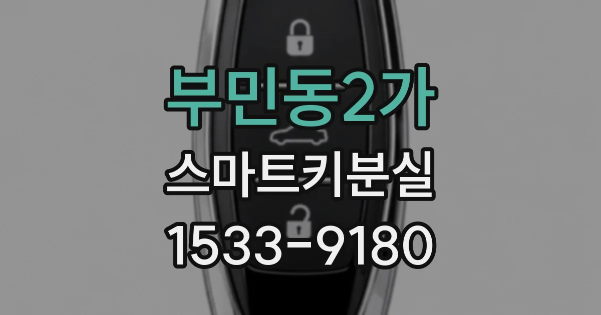 부민동2가 스마트키분실