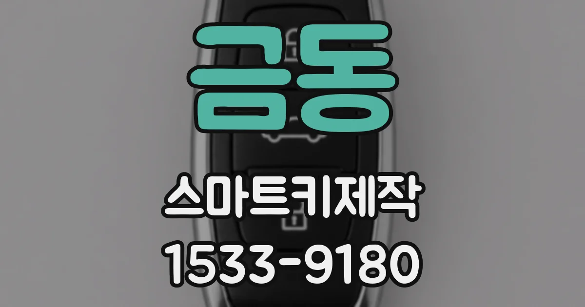 금동 스마트키제작