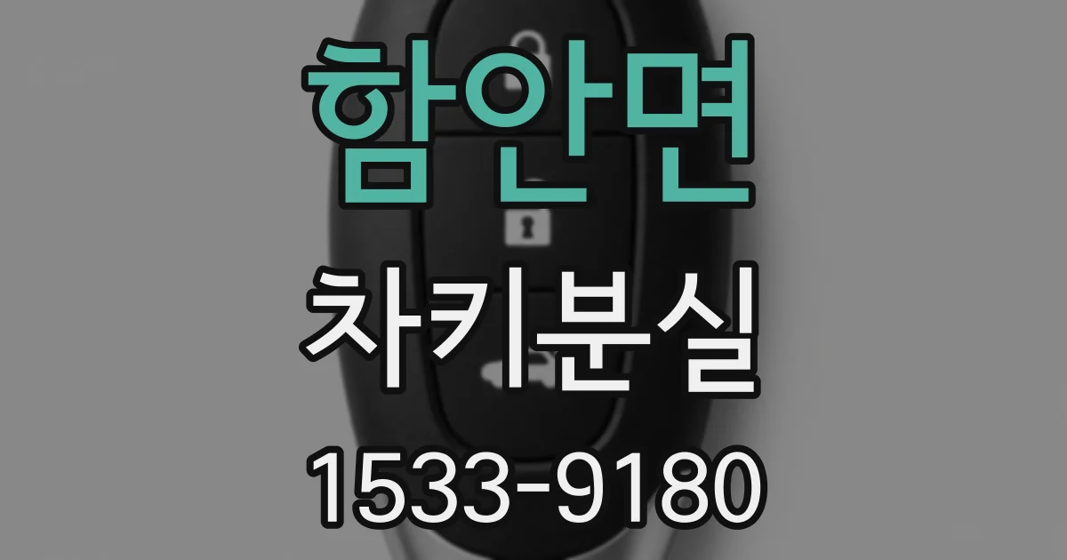 함안면 차키분실