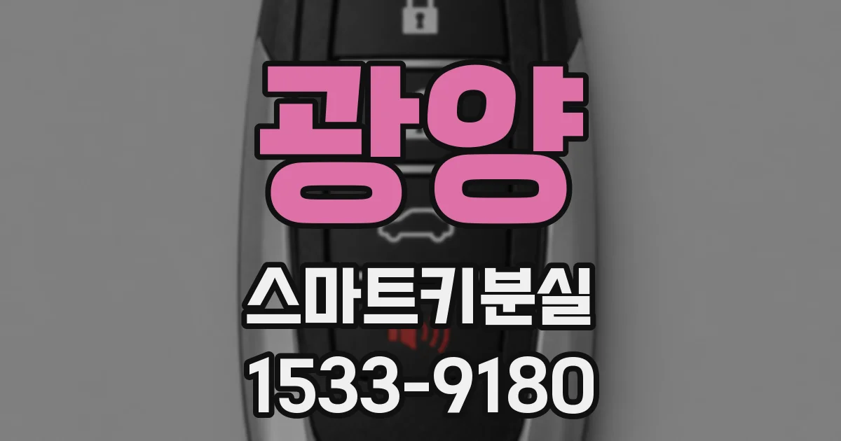 광양 스마트키분실