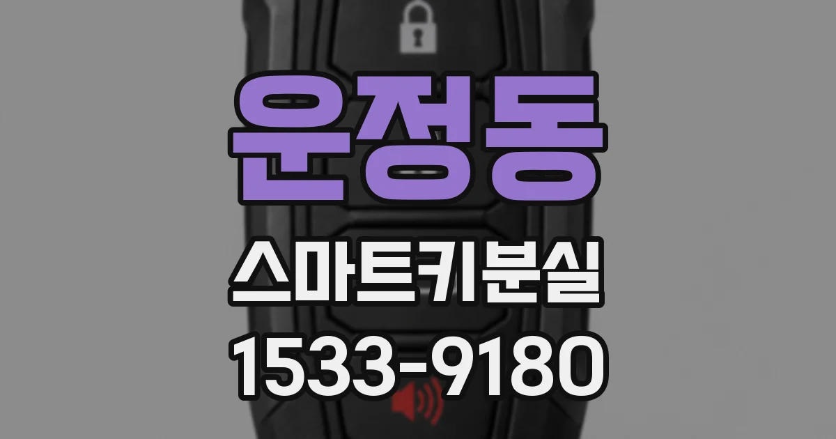 운정동 스마트키분실