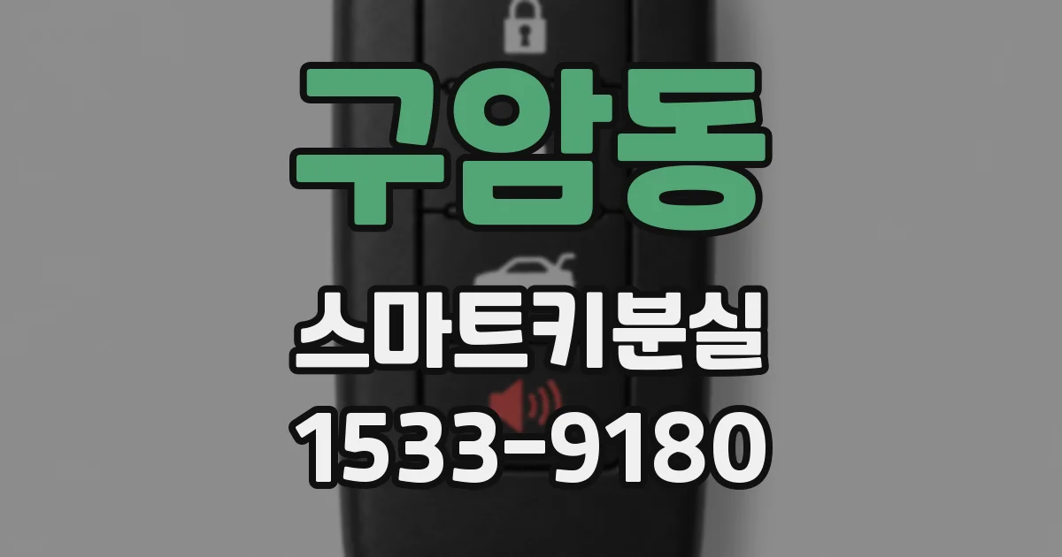 구암동 스마트키분실