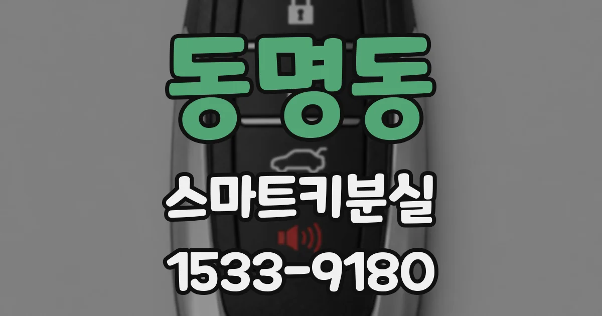 동명동 스마트키분실