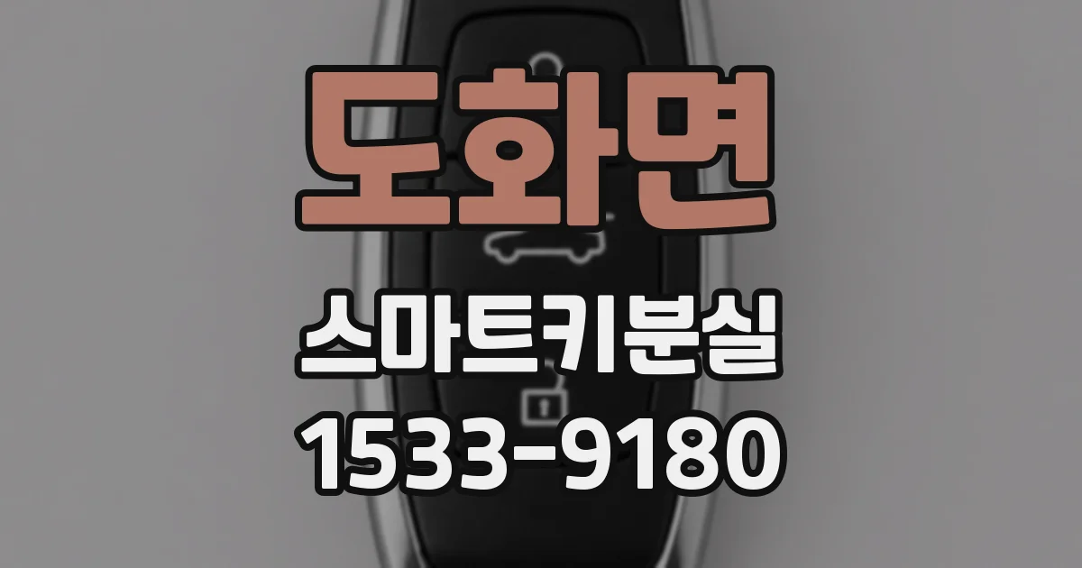 도화면 스마트키분실