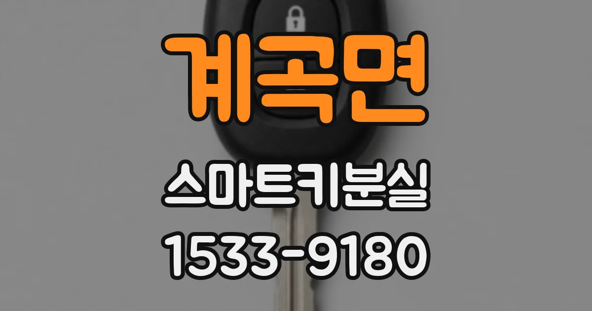 계곡면 스마트키분실