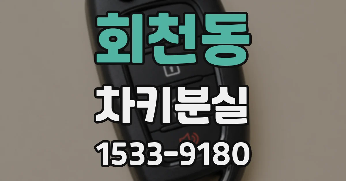 회천동 차키분실