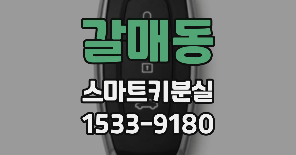 갈매동 스마트키분실